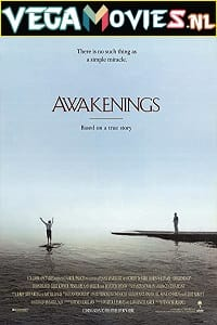  Awakenings (1990) Dual Audio {Hindi-English} 480p [500MB] | 720p [1.2GB] | 1080p [2.3GB]